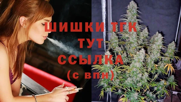 ECSTASY Медвежьегорск
